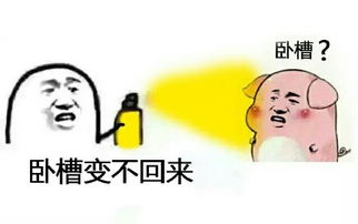 微信变猪喷雾表情包回应最新版电脑客户端版雷达下载