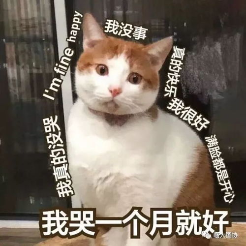 据说你们的期末考试是跪着考完的你想吐槽哪个专业