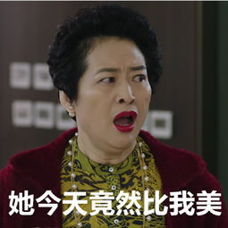 我的前半生女神薛甄珠表情包一位欢脱的丈母娘