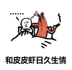 皮皮虾,我们走这是什么梗