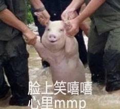 一场悄无声息的抢课大战开始了