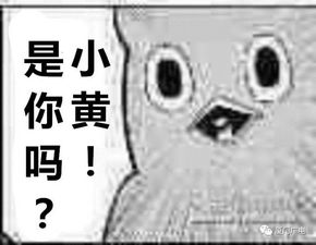 厦门人,破坏共享单车,不仅会罚款,还可能面临严重行政处罚已有人被拘留汽车频道