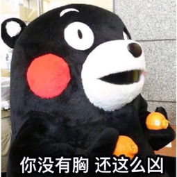 你没有胸还这么凶熊本熊表情包堆糖,美好生活研究所