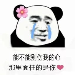 表情包尽情来调戏我吧,宝贝