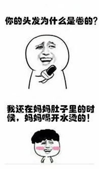斗图表情包第一期