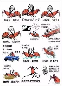 2017年度网络流行语top17,没被刷屏的算我输