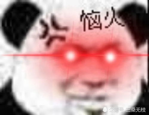 夺笋表情包买家