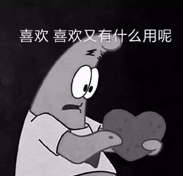 测试你能追到偶像吗