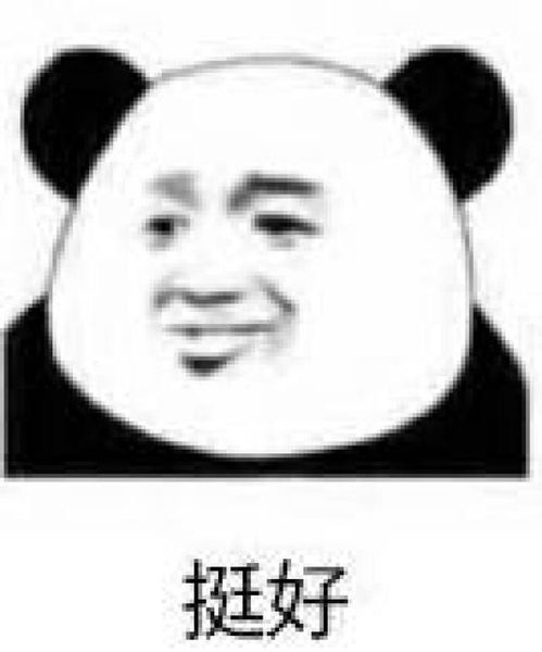 这场晚会全是顶流明星好有钱,最后嗨起来还是靠这个神秘组合