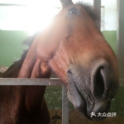 电话,地址,价格,营业时间东莞运动健身