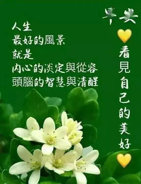 5月14日最漂亮早上好动态表情图片大全,早晨好动图美图大全