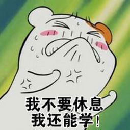 寒假必备句型做个人见人爱的小可爱