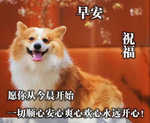 适合成年人发动态的心情说说,细腻走心,正能量爆棚