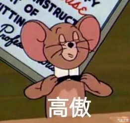 瑞天汽车是他就是他就当外貌党啦