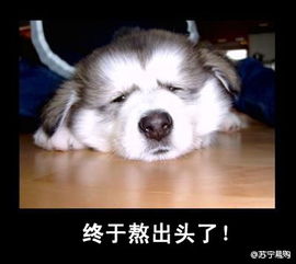 2013年第一部恐怖大片连上八天班今天终于下档总算到周五了啊终于熬出头了啊