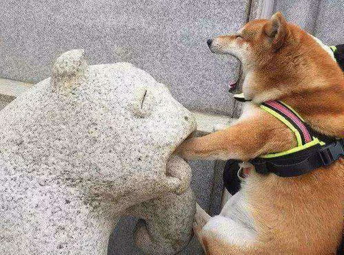 搞笑gif段子有杀气,快跑