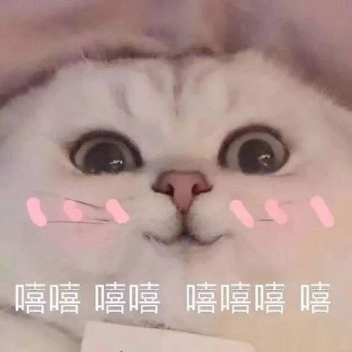嗨起来视频表情包朋友圈