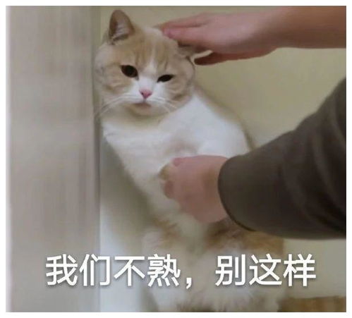 搞笑gif这样的设计是节约水,还是浪费水