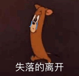 这可能是世界上最伟大的41只兔子