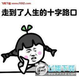 声称要躺平,却总在思考要不要专升本