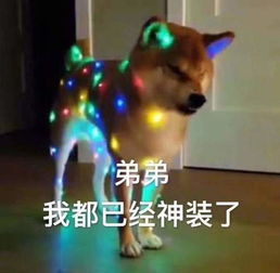 小姐姐专用表情包你以为我在想男人其实我在想知识