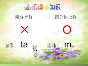 歌曲野兔饿了