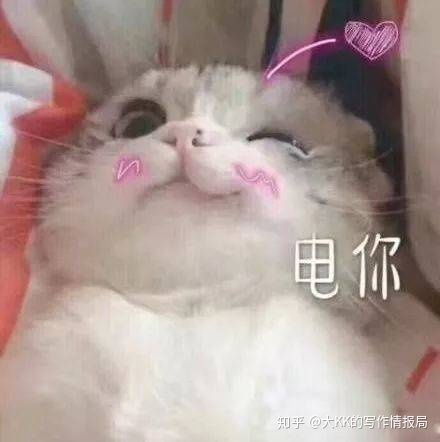 新人混晋江一定要知道的n件事