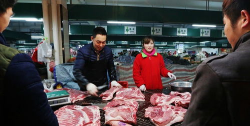 猪肉价格持续低迷,养一头猪亏800元,是谁偷了猪农的利润