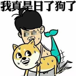 回家要钻狗洞这事你怎么看