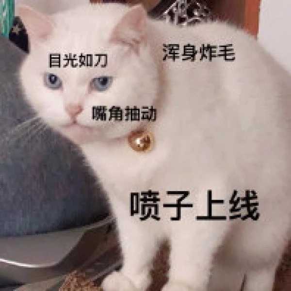 沙雕表情包就我没对象