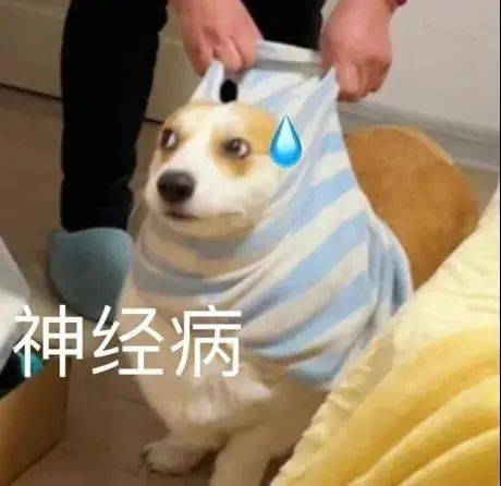 阴阳怪气动物系列表情