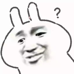 欲哭无泪近2000万买的茅台,没一瓶是真的
