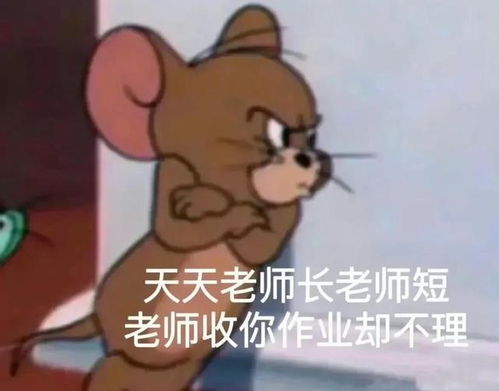 如何用表情包来表达该交作业啦