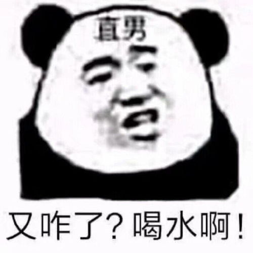 沙雕表情包这磕没法唠了