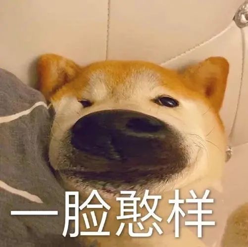 主人犯事被抓,爱犬为报复大闹警局,民警无奈要不进去陪他