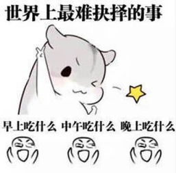 叫老公的表情包仓鼠