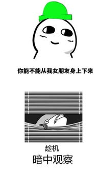 你能不能从我女朋友身上下来qq表情你能不能从我女朋友身上下来表情包