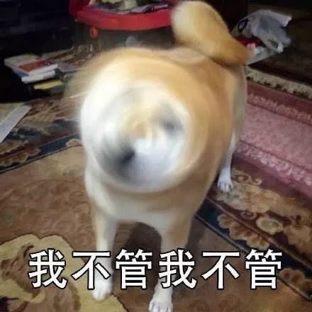 他们大概只有生了娃,才能证明真的恋爱过吧