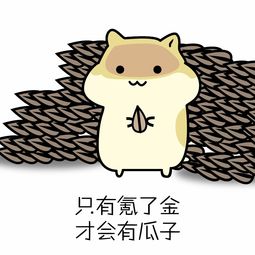 表情与斗图73仓鼠掉瓜子表情包9