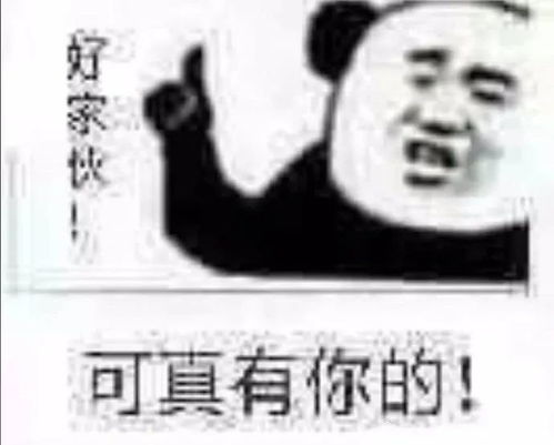 熊猫头系列表情包9