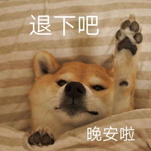 晚安表情包搞笑说晚安