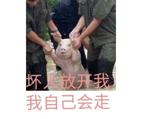 一组笑出眼泪的搞笑表情包,原来图片配字还能这么玩,涨见识了