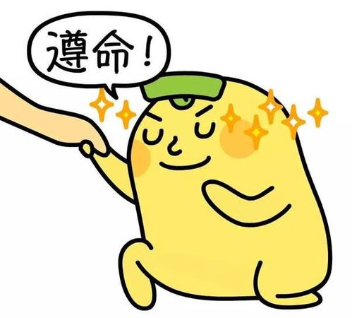 今日寒露,降温倒计时