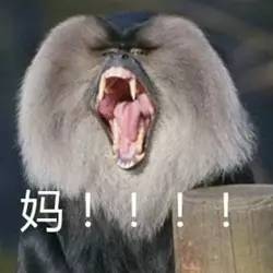 咸宁人,你以为躲过逢年过节的家庭聚会就算躲过催婚大军了吗太天真
