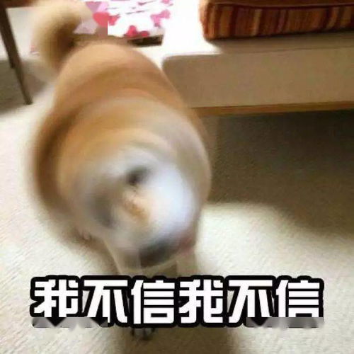 千万别看这些人的朋友圈,大半夜笑出猪叫哈哈哈哈哈哈哈哈哈哈哈哈哈哈哈
