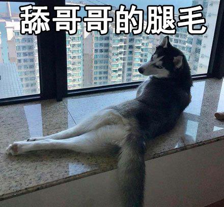 撩骚表情包突如其来的骚,闪了哥哥的腰