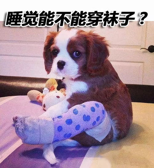 关于睡觉穿袜子的问题,你有没有被骗过
