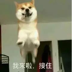 首创黑科技手腕上的低音炮音箱,360环绕声,音乐随心脏跳动