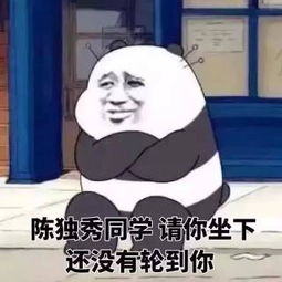 随便照片随便相册大全yy官方
