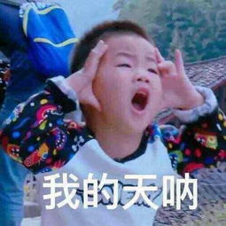 心理,性格收藏夹